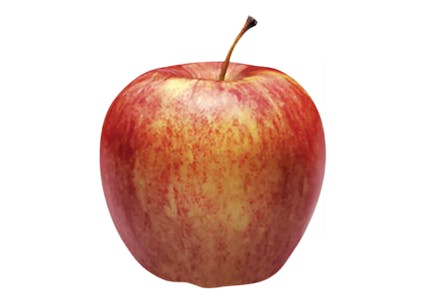 Gala Apple