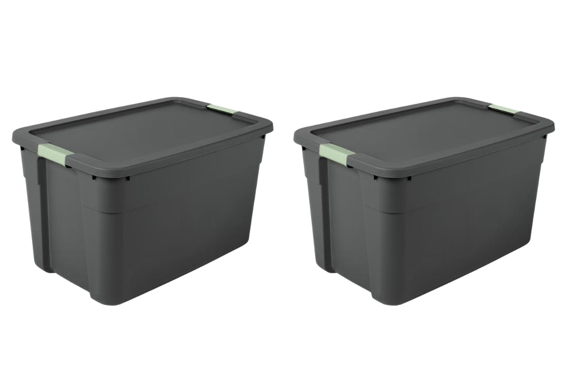 2 Brightroom Storage Totes