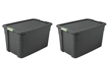 2 Brightroom Storage Totes