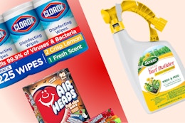 Amazon Household Essentials Sept 18