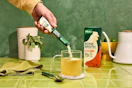 knorr bone broth