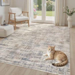 Washable Area Rug