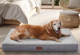 Score 64% Off This Top-Rated Dog Bed at Walmart — Now Just $24 (Reg. $67) card image