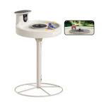 Birdfy Smart Bird Bath
