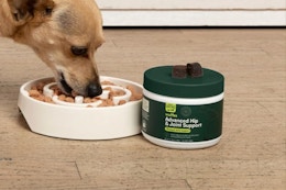 Dog eating Wuffes Advanced Dog Hip and Joint Supplement with Glucosamine from their bowl.