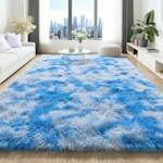 Area Rug