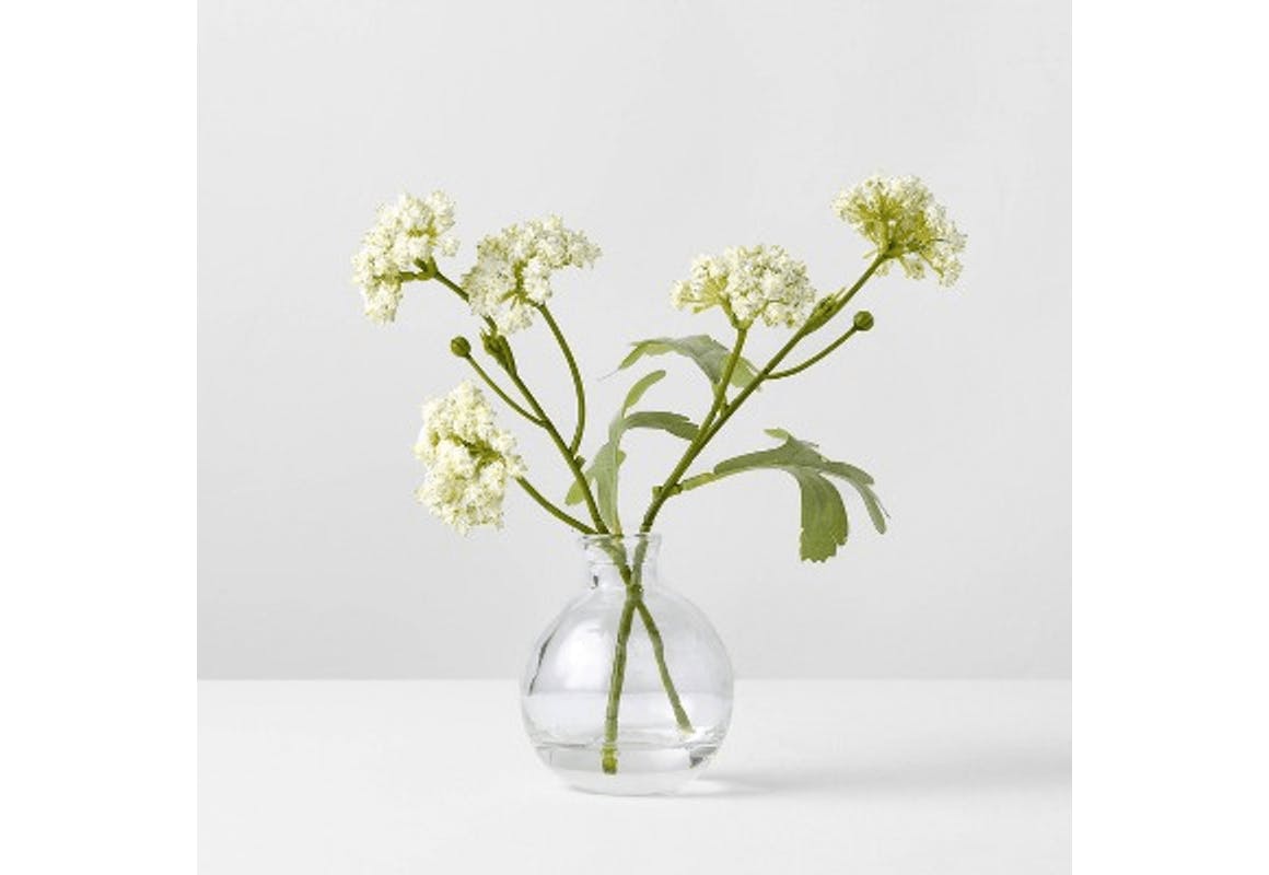 Magnolia Plant Arrangement