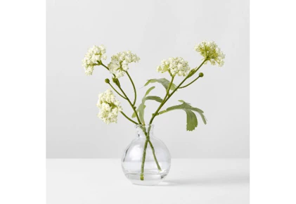 Magnolia Plant Arrangement