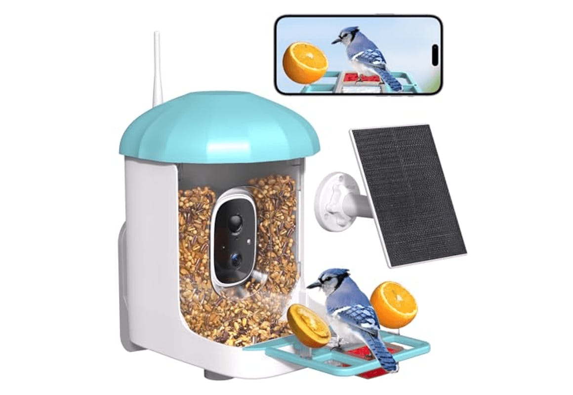 Smart Bird Feeder