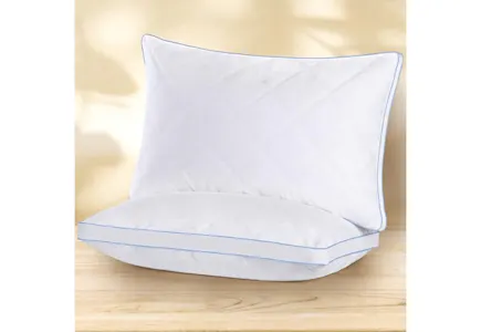 Goose Feather Pillow 2-Pack