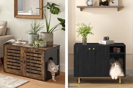 Cat Litter Box Cabinets, as Low as $60 at Wayfair (Reg. $69+) card image