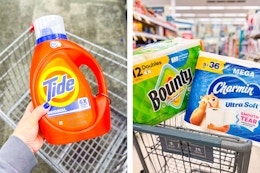 publix-stocking-spree-tide-downy-bounty-charmin