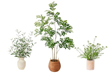 Studio McGee Artificial Plant