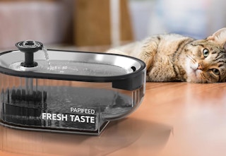 pet water fountain beside cat