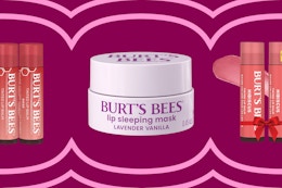 Burt’s Bees Stocking Stuffers, as Low as $4.56 on Amazon card image