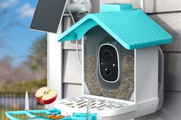 a bird feeder on the side of a house
