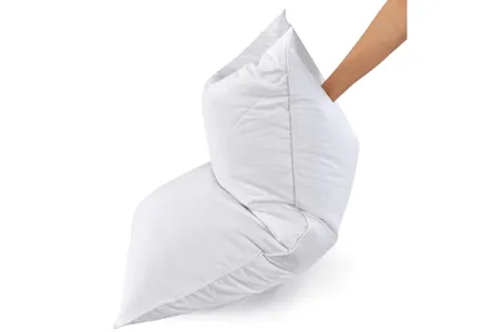 Goose Feather Pillow
