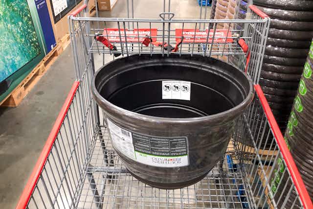 Great Deal: 22" Resin Planter for Just $15.99 at Costco card image