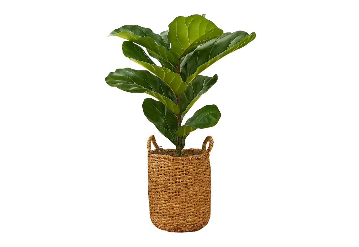 Artificial Fiddle Leaf Fig Plant