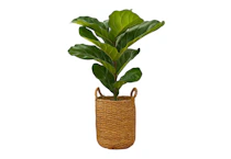 Artificial Fiddle Leaf Fig Plant