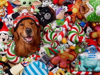 A dog's head sticking out of a pile of Disney Christmas toys.