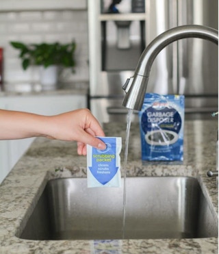 Glisten Garbage Disposer Drain Cleaner