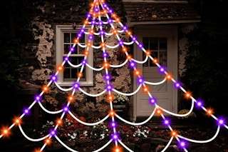 spider web lights