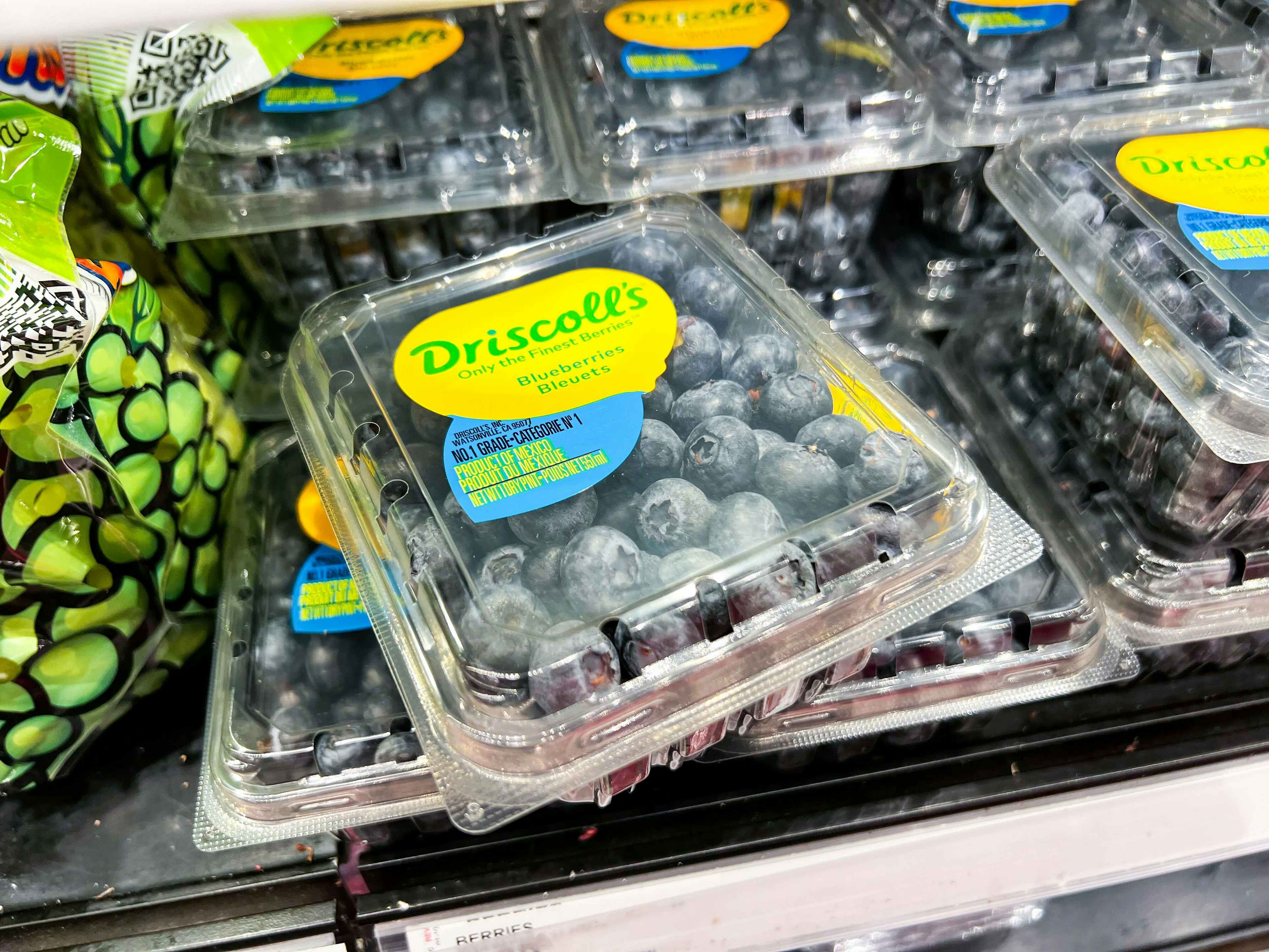 driscolls-blueberries-target2