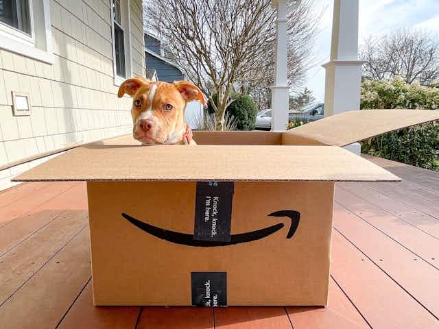 Amazon Pet Deals: Double Coupon Stack on Sheba, Temptations and More card image