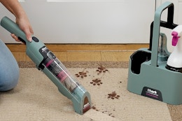 Shark Cordless Portable StainForce