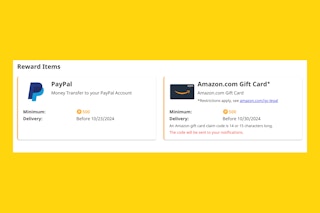Rakuten Insight Reward