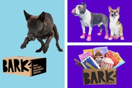 New Subscribers Get Free Crocs for Dogs With BarkBox — Just $27 per Month card image