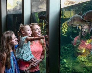 Family looking at an animal exhibit