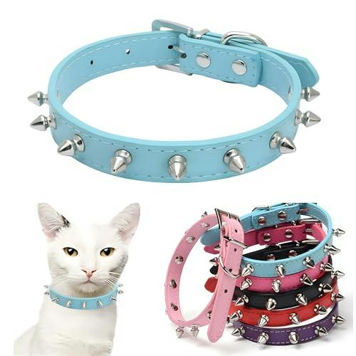 Spiked Dog Collar