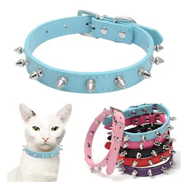 Spiked Dog Collar