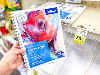 cvs-clearance-caliber-sketch-book