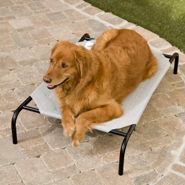 Coolaroo Cooling Elevated Dog Bed, Only $24.43 on Amazon card image