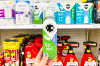 hand holding a stem plant spray at target