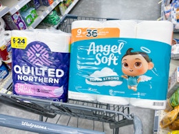 Angel Soft and Quilted Northern Toilet Paper, Just $4.49 Each at Walgreens card image