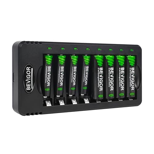 Rechargeable Batteries & Charger