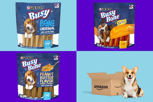 Purina Busy Bones: Save Up to 49% for Amazon Pet Day card image