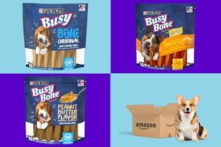 purina busy bones