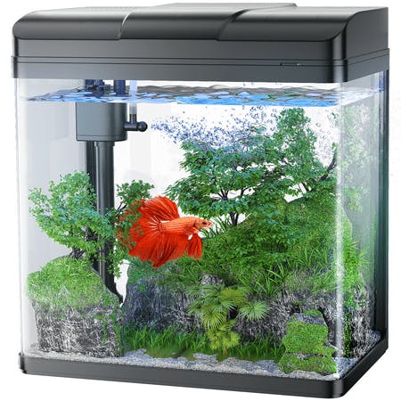 Fish Tank Starter Kit