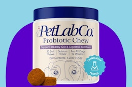 PetLab Co. Probiotics for Dogs, Now Just $27 (Trending Amazon Subscription) card image