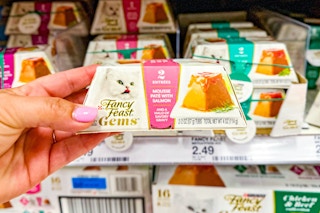 hand holding fancy feast cat food