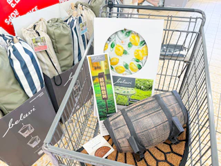 aldi-outdoor-finds-042226-glass-table-mat-solar-address-stake-planter