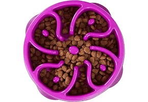 Outward Hound Slow Feeder Bowl