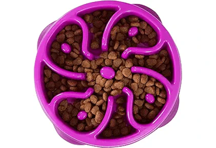 Outward Hound Slow Feeder Bowl