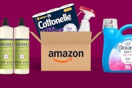 Save on Household Essentials: Soft Scrub, Gain, Duracell, and More card image