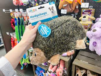 Buy Outward Hound HedgehogZ Plush Dog Toy Online